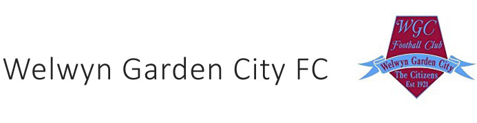 Welwyn Garden City FC - Lewis Todd Professional Goalkeeper